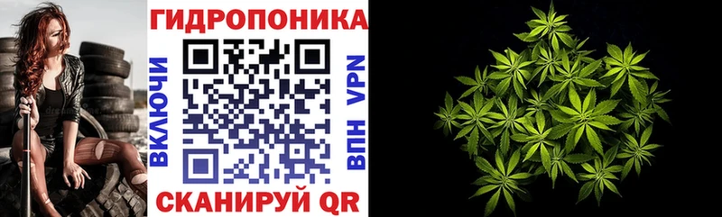 Бошки Шишки SATIVA & INDICA  Купить закладки  Нижняя Тура 